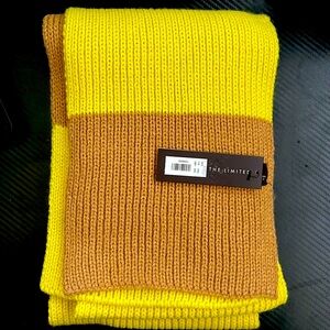 Scarf from The Limited (New)